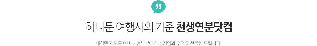 허니문 여행사의 기준 천생연분 닷컴, 대한민국 모든 예비 신혼부부에게 설레임과 추억을 선물해 드립니다.